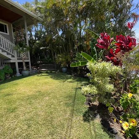Private Ohana On The Lush Hamakua Coast With Ac